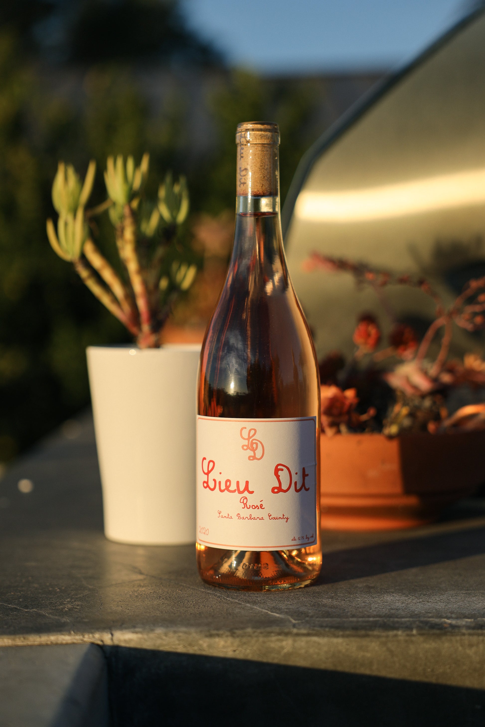 2023 Rosé of Cabernet Franc